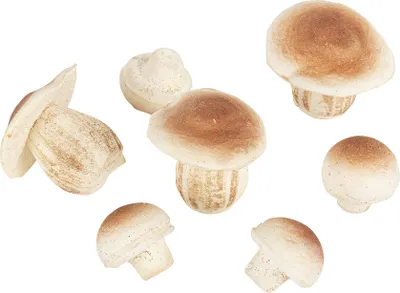Produktbild von Waldpilze Weihnachts-Tischdeko 7 Stück braun-weiß 3 - 6,5 cm - Einheitsgröße