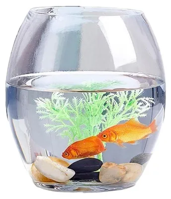 Obrázok produktu pre Akvarium oválneho tvaru, vyrobené z tvrdeného skla