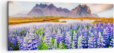 Produktbild von Bild auf Leinwand - Leinwandbild - Berge Wiese Blumen - 120x50cm - Wand Bild - Wanddeko - Leinwanddruck - Bilder - Kunstdruck - Wanddekoration - Leinwand bilder - Wandkunst - AB120x50-4114