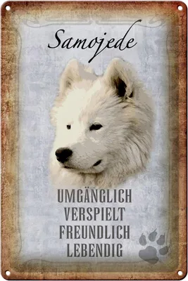 Produktbild von Blechschild Spruch 20x30cm Samojede Hund Schild