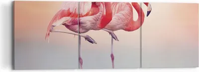 Produktbild von Bild auf Leinwand - Leinwandbild - 3 Teile - Flamingos Exotik Vögel - 120x40cm - Wand Bild - Wanddeko - Wandbilder - Leinwanddruck - Bilder - Wanddekoration - Leinwand bilder - CA120x40-5044