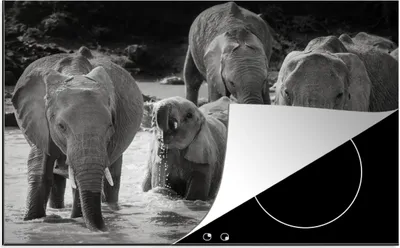 Produktbild von KitchenYeah© Herdabdeckplatte Elefant - Tiere - Wasser - Schwarz und weiß , 81x52cm, Küche Deko, Glaskeramikkochfeld Herdabdeckung, Abdeckplatte fùr Kochfeld