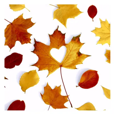 Produktbild von 20 Servietten Autumn Love - Herz in Herbstblätter 33x33cm