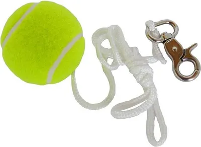 Produktbild von Hudora 95570 Ersatzball mit Karabiner für Twistbal