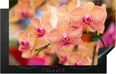 Produktbild von KitchenYeah© Herdabdeckplatte Pflanze - Orchidee - Blumen - Rosa - Flora , 85x52cm, Küche Deko, Glaskeramikkochfeld Herdabdeckung, Abdeckplatte fùr Kochfeld