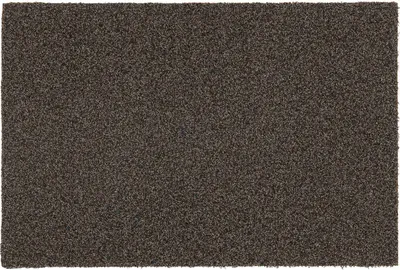 Produktbild von Astra Fußmatte für Innen und Außen BRUSH LINE Braun 40 x 60 cm