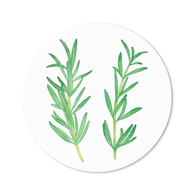 Produktbild von MuchoWow® Mauspad Mousepad Aquarell - Rosmarin - Kräuter 30x30 cm - Mousepads - Maus Mat - Pad - Mausunterlage - Tischunterlage - Schreibtischmatten