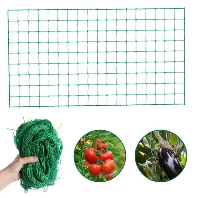 Image de Filet de jardin pour plantes à mailles larges Culture de tomates, concombres, plantes grimpantes Jardinage vertical Dimensions : 2 m x 5 m