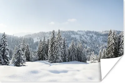 Produktbild von MuchoWow® Poster Schneebedeckte Bäume in den Bergen 30x20 cm - Plakate - Print