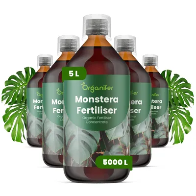 Produktbild von Monstera Flüssigdünger 5x1L – 3-4-3 NPK – Flüssig-Pflanzendünger für Monstera – Organifer