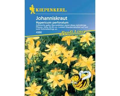 Produktbild von Johanniskraut Kiepenkerl Samenfestes Saatgut Blumensamen