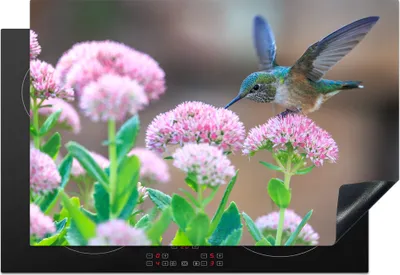 Produktbild von KitchenYeah© Herdabdeckplatte Blumen - Vogel - Kolibri , 78x52cm, Küche Deko, Glaskeramikkochfeld Herdabdeckung, Abdeckplatte fùr Kochfeld