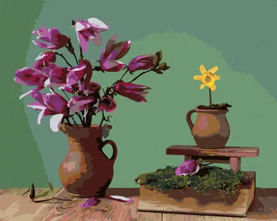 Produktbild von Zuty - Malen nach Zahlen - MAGNOLIEN IN EINER KERAMIKVASE, 40x50 cm, ohne Keilrahmen