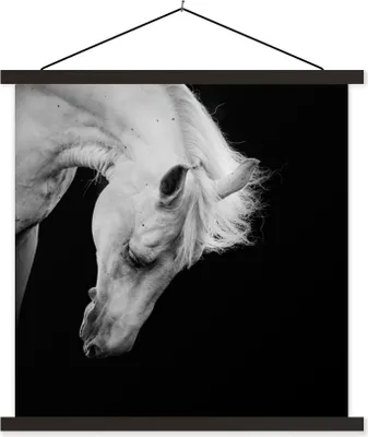 Produktbild von MuchoWow® Textilposter Pferd - Weiß - Schwarz 120x120 cm mit schwarzem Rahmen - Aufhängungsset