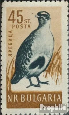 Produktbild von Briefmarken Bulgarien 1959 Mi 1119 postfrisch Vögel