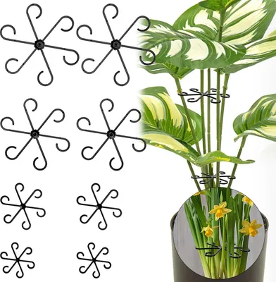 2er Set Pflanzensttzen fr Monstera, transparente