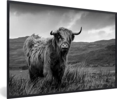 Produktbild von MuchoWow® Gerahmtes Poster Schottischer Highlander - Berg - Wasser - Natur - Kuh 90x60 cm - Poster mit Schwarzem Bilderrahmen Wandposter Rahmen Foto Bilder - Fotorahmen - Foto-Plakat