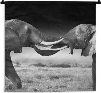 Produktbild von MuchoWow® Wandteppich Wandbehang Elefant - Tiere - Schwarz und weiß - Porträt - Landschaft 60x60 cm Tapisserie Dekoration Wandtuch - Dekorationen - Wand Decke