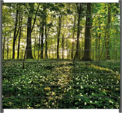 Produktbild von Wallario Zaunsichtschutz mit Motiv Waldanemonen und Sonnenstrahlen im Wald für Ein- und Doppelstabmatten Zäune in der Größe 200 x 180 cm