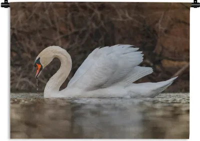 Produktbild von MuchoWow® Wandteppich Wandbehang Schwan - Wasser - Tiere - Vogel 120x90 cm Tapisserie Dekoration Wandtuch - Wohnen - Aufhänger für die Wand