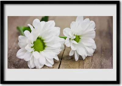 Produktbild von Bild 100x70 MDF-Rahmen Wandkunst Blumen Pflanzen Natur