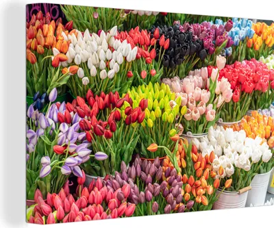 Produktbild von OneMillionCanvasses® - Leinwandbilder - 140x90 cm, Blumen - Tulpen - Farben, Wandbilder Kunstdruck Wanddekoration