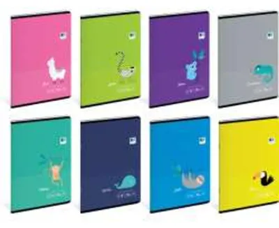 Zdjęcie produktu dla Zeszyt A5 16 Kartek W Kratkę 90 G Bebe Kids Tropic Interdruk