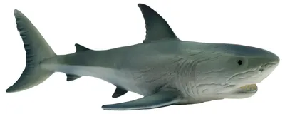 Produktbild von Bullyland 67410 - Spielfigur Weißer Hai, ca. 11,6 cm große Tierfigur, detailgetreu, PVC-frei, ideal als kleines Geschenk für Kinder ab 3 Jahren