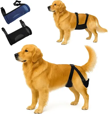 Imagen del producto de Pañales para perros ajustables, paquete de 2 unidades, con tejido de malla transpirable, para perros con incontinencia