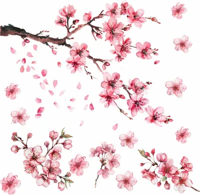 Produktbild von 268 Wandtattoo Kirschblüten Ast - Größe 1000 x 560 mm