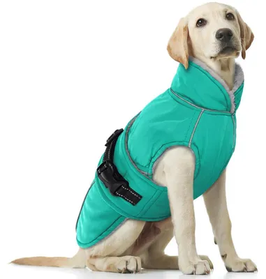 Immagine prodotto di Cappotto per cani, inverno, impermeabile, caldo, colore turchese, taglia L