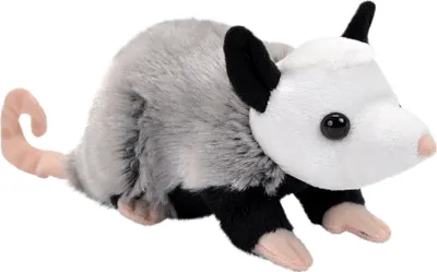 A plush toy opossum is shown against a white background.