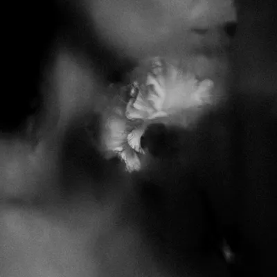 Produktbild von Holding Absence