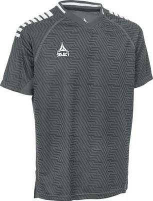 Produktbild von SELECT Monaco Trikot v24, Gr.10, grau weiss