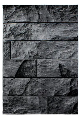 Image de Parma Oltu tapis poils ras rectangle 280x370cm noir