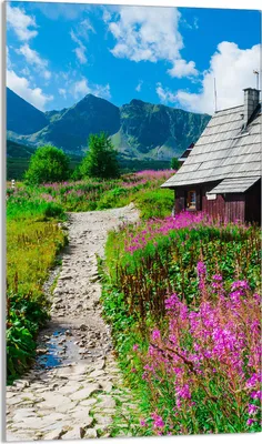 Produktbild von Herdabdeckplatte 30x52 Glaskeramikkochfeld Abdeckung Spritzschutz Glasplatte Deko Schneidebrett, Landschaft Dorf