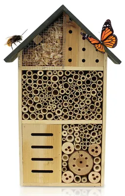 Produktbild von Muntel Insektenhotel - Naturbelassen & Wetterfest, Insektenhaus aus Naturholz für Bienen, Wildbienen, Marienkäfer,Bienenhotel, Nisthilfe zum Aufhängen, Holz, 10 x 30 x 50 cm