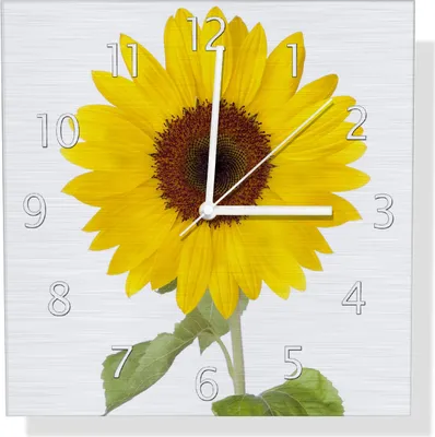 Produktbild von Wallario Design Wanduhr Sonnenblume aus Aluverbund, Größe 30 x 30 cm