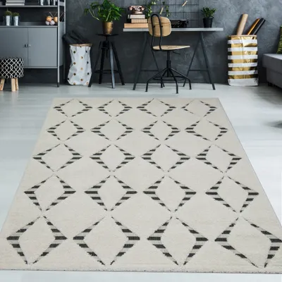 Image de Tapis moelleux noir et crème - Dimensions : 240 x 340 cm