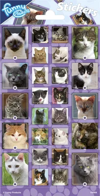 Produktbild von Katzen Sticker / Aufkleber Bogen