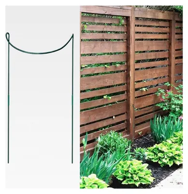 Produktbild von Pflanzenstützen | 6 Halbrunde Pflanzenstützringe aus rostfreiem Metall - Gartenzubehör für Pflanzenranken