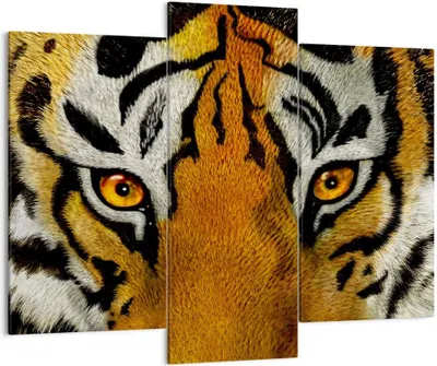 Produktbild von Bild auf Leinwand - Leinwandbild - Tiger Tiere Natur Safari - 130x100cm - Wand Bild - Wanddeko - Leinwanddruck - Bilder - Kunstdruck - Wanddekoration - Leinwand bilder - Wandkunst - CB130x100-1549