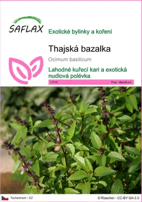 Obrázek produktu pro SAFLAX - thajská bazalka - Ocimum basilicum - 200 Semena