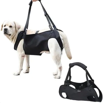 Produktbild von Hundehalsband - Ergonomische Unterstützung für Hinterbeine - XL