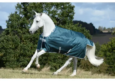 Image de Bucas Couverture d'extérieur 100g Greenline Turnout Couverture de pré vert 125