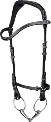 A black horse bridle with silver buckles and bit, displayed against a white background.