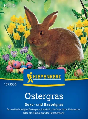 Produktbild von Kiepenkerl Ostergrassamen Deko- und Bastelgras 1 m²