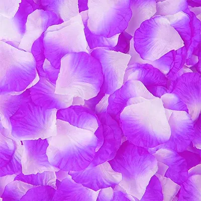 Produktbild von 100 Rosenblätter, Lila/Rosa