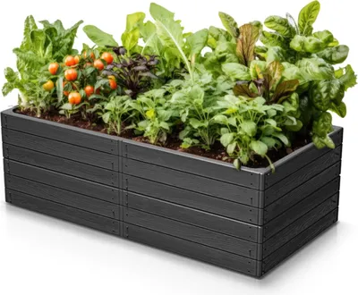 Obrázok produktu pre Vyvýšený záhon BASE WOODY ECO WOOD 149,2 cm, antracit