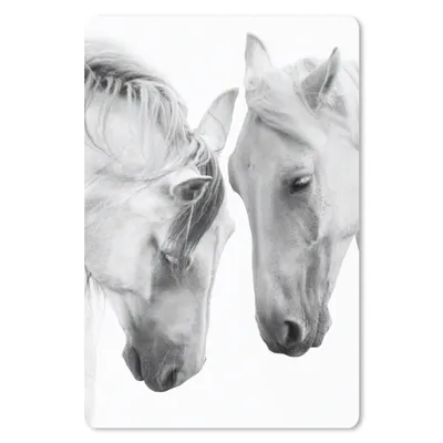 Produktbild von MuchoWow® Mauspad Mousepad Pferd - Tiere - Porträt - Weiß 18x27 cm - Mousepads - Maus Mat - Pad - Mausunterlage